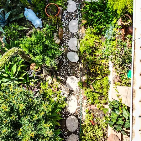 Urban Ii * Carvoeiro